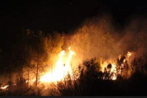 إجلاء سكان ومشاهد مخيفة .. الجزائر تسجل أكثر من 17 حريق غابات في 8 ولايات على الأقل