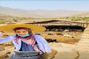 لجين الوزير: شابة تصنع “ثورة هادئة” في زراعة اليمن وثروته الحيوانية
