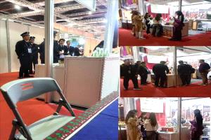 العشبة السقطرية" تتألق في معرض شنغهاي الدولي.. جمال طبيعي يمني يبهج العالم