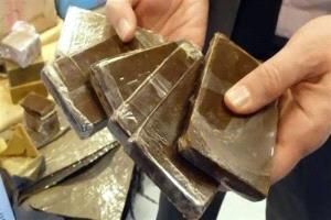 ضبط 24.5 كيلو حشيش وضربة لشبكات الحوثيين بالوديعة