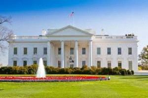 البيت الأبيض يرفض إنقاذ شركات الذكاء الاصطناعي المتعثرة