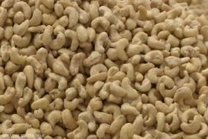 المكسرات النيئة أم المحمصة.. أيهما الأفضل لصحتك؟