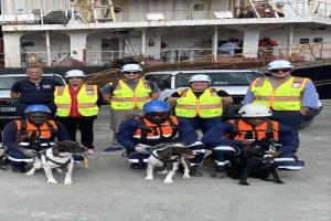 سفيرة بريطانيا تؤكد دعمها لـ "يونفيم" في ضمان تدفق المساعدات ومنع التهريب إلى اليمن