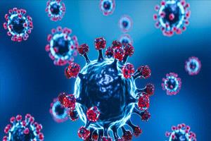 تفشّي ماربورغ في إثيوبيا يقرع جرس الخطر على اليمن amid انهيار النظام الصحي