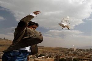 تصعيد حاد على منصة إكس بين البخيتي والسياسي السعودي حول مستقبل السلام في اليم