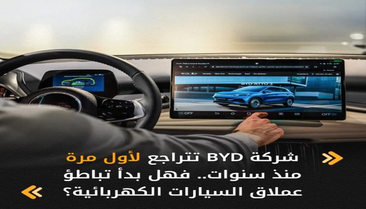 تواجه أول هبوط سنوي رغم صدارة السوق الكهربائية