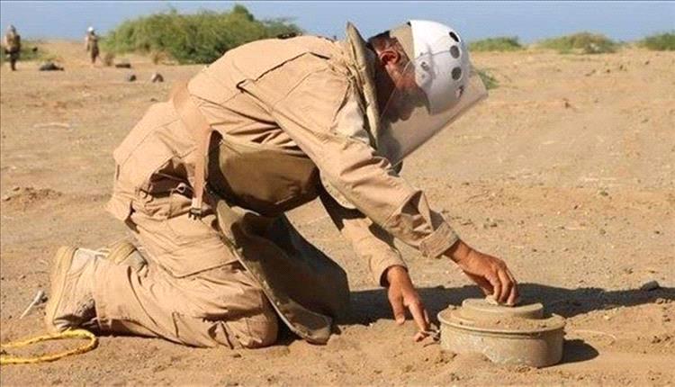 مسام ينتزع أكثر من 1300 لغم حوثي خلال أسبوع ويؤمّن آلاف الأمتار من الأراضي اليمنية