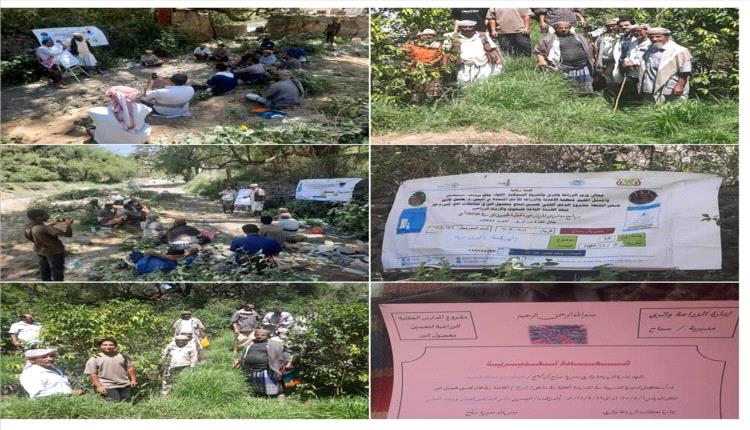 اختتام الدورات التدريبية لمحصول البن في سبّاح يافع لتعزيز الإنتاج والجودة