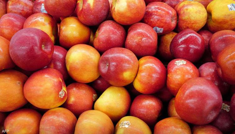 تفاحة قبل النوم.. عادة بسيطة مفيدة أم خطر على الصحة؟