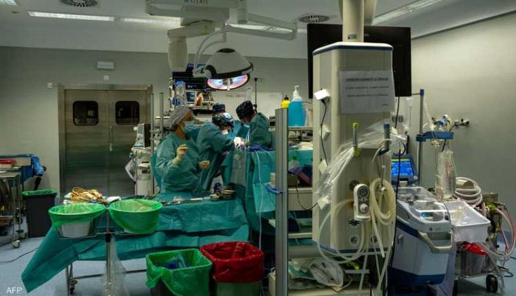 لأول مرة في العالم.. زراعة كبد خنزير في جسم إنسان