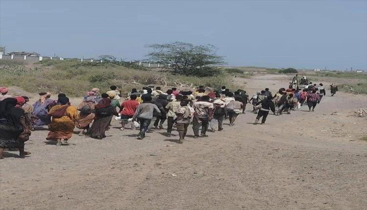 اليمن تضبط شبكة تهريب مهاجرين أفارقة وتمنع عبور قوارب غير شرعية

