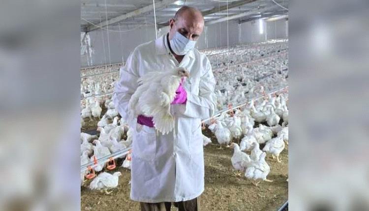 العراق يبلغ عن تفشي السلالة "إتش5إن1" من إنفلونزا الطيور