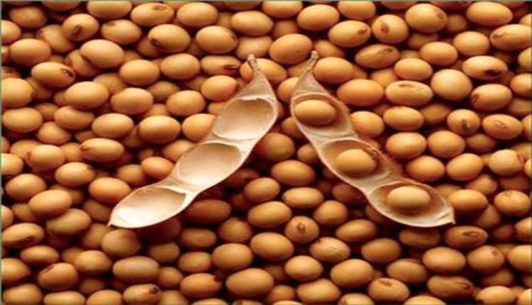 الصين تصفر فول الصويا الأمريكي لأول مرة منذ 7 أعوام وتغرق في الإمدادات البرازيلية