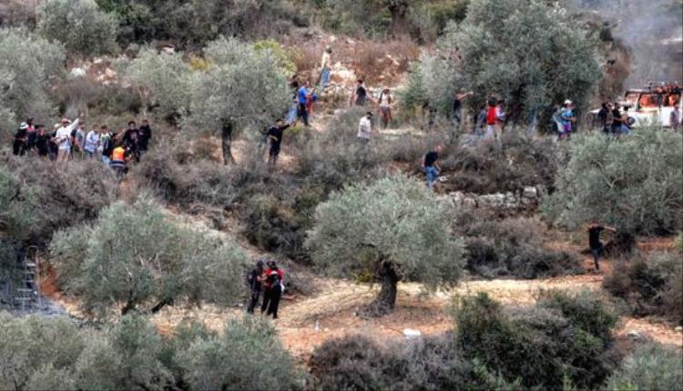 اعتداء مستوطن على مزارع فلسطيني مسن تحت حماية الجيش