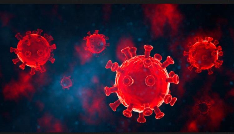 عاجل - اكتشاف فيروس كورونا جديد قد يهدد بجائحة محتملة