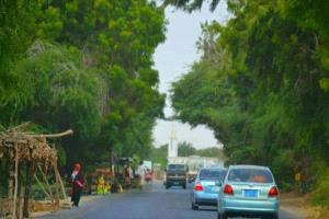 شرطة أبين توقف مطلق النار على شاب بعد خلافات سابقة