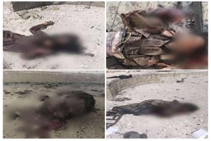إحباط هجوم إرهابي واسع على المجمع الحكومي بالمحفد