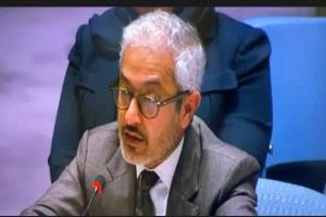 مندوب الإمارات: الجيش والدعم السريع خارج مستقبل #السودان