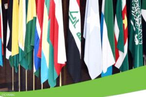 منظمة التعاون الإسلامي تناشد السودانيين بضرورة الحوار