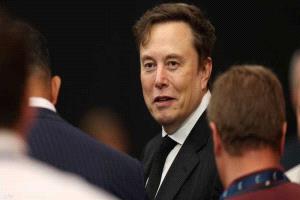 بمنافس جديد.. إيلون ماسك يتحدى "ويكيبيديا"