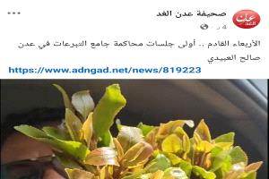 سقوط مهني جديد لصحيفة "عدن الغد" بعد نشر خبرٍ مسيء يفتقر لأدنى معايير النزاهة الصحفية