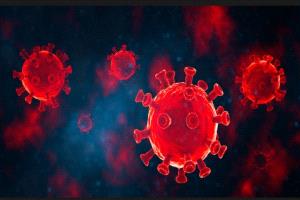 عاجل - اكتشاف فيروس كورونا جديد قد يهدد بجائحة محتملة