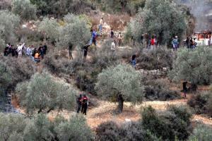 اعتداء مستوطن على مزارع فلسطيني مسن تحت حماية الجيش