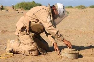 مسام ينتزع أكثر من 1300 لغم حوثي خلال أسبوع ويؤمّن آلاف الأمتار من الأراضي اليمنية