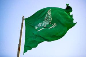السعودية تدعم الحكومة اليمنية بموازنة إضافية وتوفير وقود لمحطات الكهرباء

