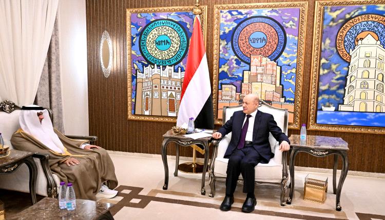 العليمي يشيد بالدور الإماراتي في دعم الطاقة وتحسين الخدمات الأساسية