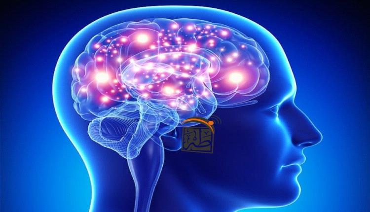 احذر منها: 7 سلوكيات “بسيطة” تدمر خلايا الدماغ بصمت!