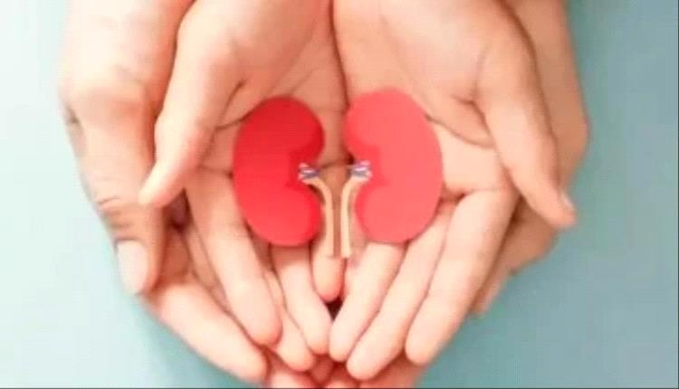 مشروبات طبيعية لتعزيز صحة الكلى وتخفيف الالتهابات