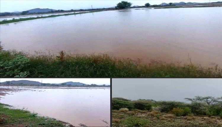 أمطار غزيرة وسيول جارفة تضرب منطقة دثينة في أبين والمزارعون يرحبون بالخير
