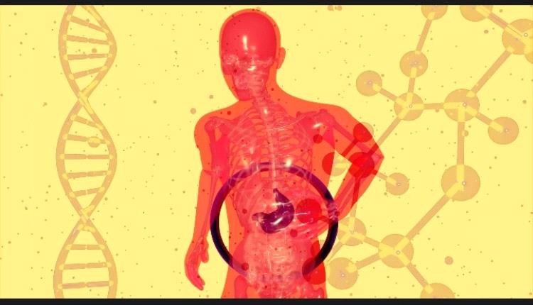 علماء يكتشفون علاقة الكحول بمرض الكبد الدهني
