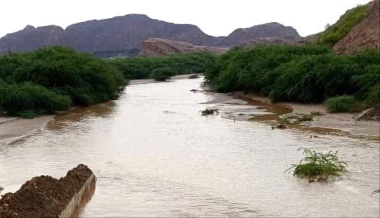 فاجعة مأساوية.. خمس نساء من أسرة واحدة يغرقن في السيول بحفرة الطريق الساحلي