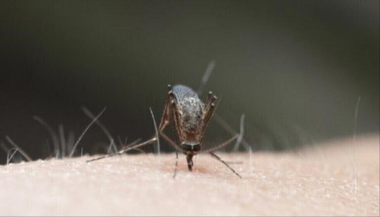 بنجلادش تشهد أسوأ يوم لهذا العام مع ارتفاع وفيات وإصابات حمى الضنك