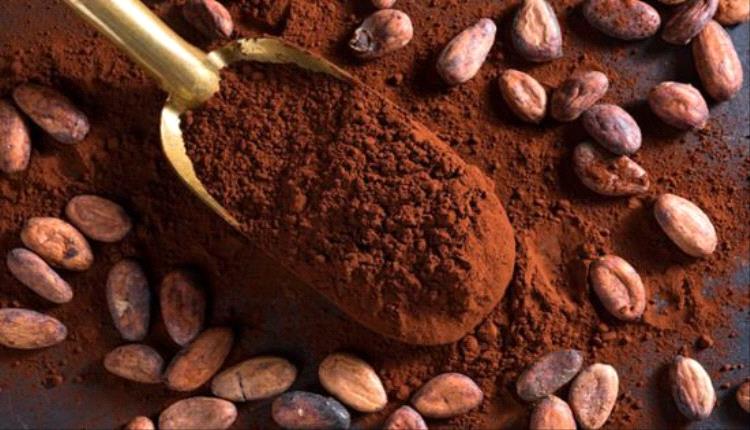 الإكوادور على أعتاب إزاحة غانا من عرش الكاكاو العالمي