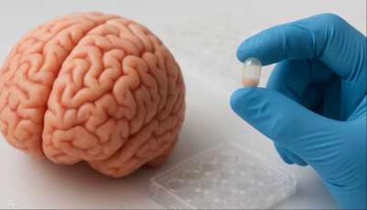 علماء يطورون كبسولات لعلاج التهاب الدماغ وألزهايمر