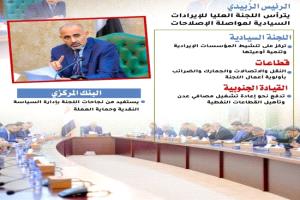 اللجنة العليا للإيرادات خطوات راسخة نحو نهضة اقتصادية
