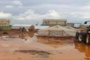 سيول تغرق مساكن النازحين وموجة غبار تخنق أحور في أبين

