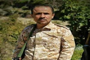 علي البخيتي يحمل سالم الدست مسؤولية اغتيال مديرة صندوق النظافة بتعز
