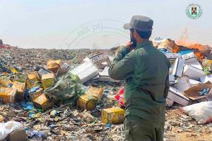 الحزام الأمني يتلف آلاف الشرائط المخدرة وأطنان المبيدات والسجائر المهربة