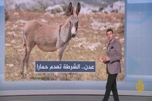 منصور صالح: تعز تحمي الإرهاب وتستهدف الجنوب.. مفارقة تكشف ازدواجية إعلام الإخوان
