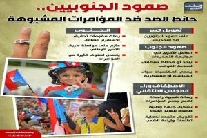 الجنوب صامد حائط صد ضد المؤامرات