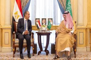 السعودية ومصر تتفقان على توحيد الجهود لتعزيز أمن واستقرار المنطقة