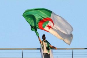 الجزائر .. تمويل 9 آلاف مشروع صغير بالنصف الأول من 2025