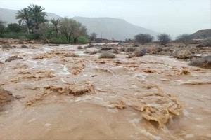 سيول شبوة تتسبب بخسائر بمليارات الريالات
