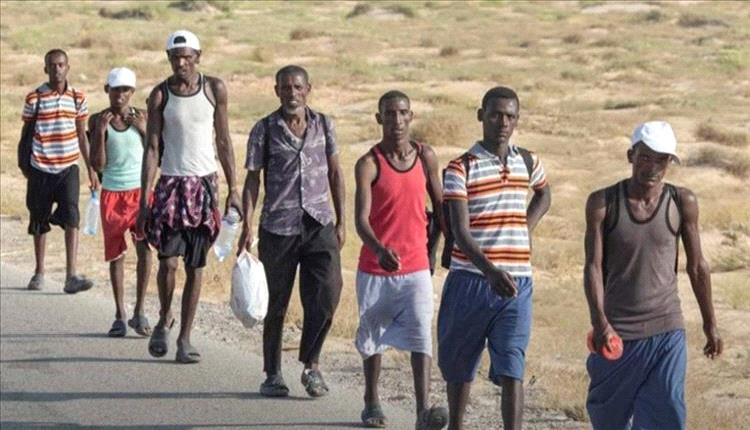 أحور على صفيح ساخن: مطالب شعبية عاجلة لوقف تهريب المهاجرين