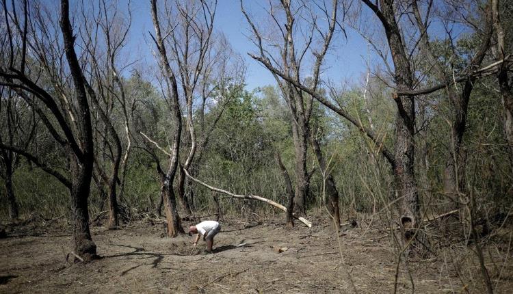رومانيا: رصد مسيرة انتهكت مجالنا الجوي
