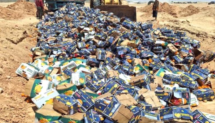 إتلاف 2864 كرتون برتقال غير صالح للاستهلاك بمنفذ شحن بالمهرة 